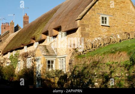 In der Nähe von East Coker, einem Somerset Village in der Nähe von Yeovil. Einige Strohhütten Stockfoto