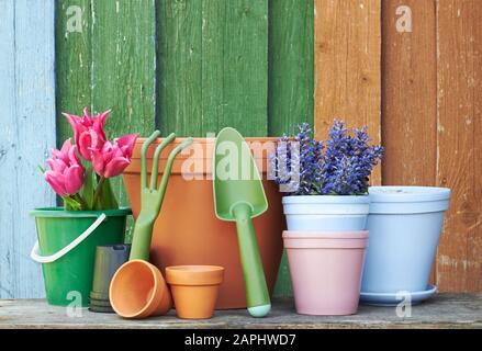 Terrakotta-Lehm-Blumentöpfe mit schwarzen Kunststoffbehältern und Gartenwerkzeugen auf Holztisch auf bunt hellem rustikalem Hintergrund, Baumschule und Gartenarbeit Stockfoto