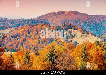 Herbst in den Bergen. Blick auf die Berge im Herbst. Schöne Naturlandschaft. Karpatengebirge. Bukovel, Ukraine Stockfoto