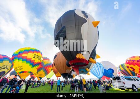 Albquerque, 4. Oktober: Morgenansicht des berühmten Albuquerque International Balloon Fiesta Events am 4. Oktober 2019 in Albquerque, New Mexico Stockfoto