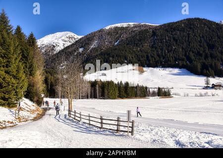 Skipisten im oberen Teil des Tals in der Nähe des Waldes Stockfoto