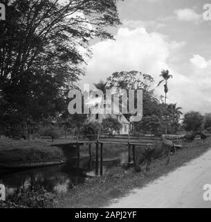 Reisen nach Suriname und die niederländischen Antillen Beschreibung: Die ehemalige Plantage Leonsberg in Suriname Datum: 1947 Ort: Leonsberg, Suriname Schlüsselwörter: Plantagen Stockfoto