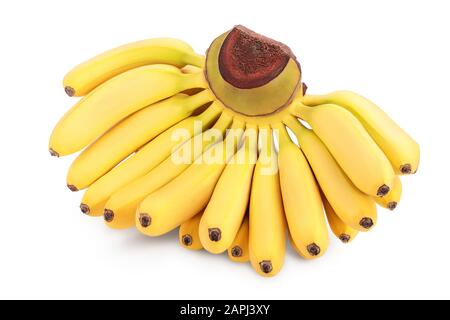 Baby-Bananen-Bund isoliert auf weißem Hintergrund mit Beschneidungspfad und voller Schärfentiefe Stockfoto