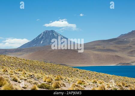 Laguna Miscanti und Vulkan Miscanti auf 14.000 Fuß auf dem chilenischen Altiplano, Atacama-Wüste, Chile Stockfoto