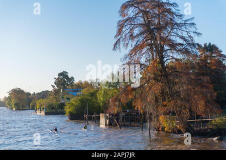 Tigre, La Plata Delta, Großraum Buenos Aires, Argentinien, Lateinamerika Stockfoto