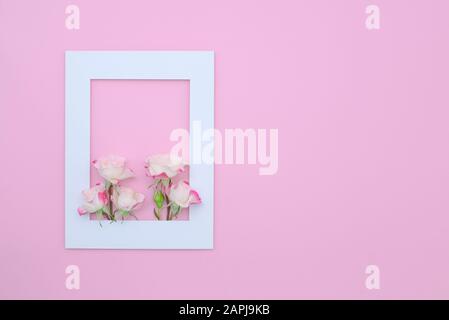 Rahmen aus rosafarbenen Rosen und weißem Rahmen. Federkonzept, flacher Lay, Kopierraum Stockfoto