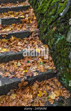 Verfallene Herbstblätter auf Steintreppen; Stockfoto