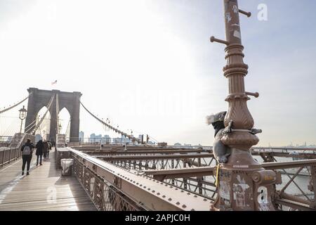 New York, Vereinigte Staaten. Januar 2020. Ein weiches Koala-Spielzeug, das am 23. Januar 2020 an einem Teil der Brooklyn Bridge in New York befestigt wurde. Die Plüschtiere wurden von einer Organisation namens New York Koalas in New York City platziert, die versucht, Geld für DRÄHTE zu sammeln, den Wildlife Information Rescue and Education Service, Australiens größte Rettung und Wohltätigkeitsorganisation für Tiere, die von den großen Bränden in Australien betroffen sind. Kredit: Brasilien Photo Press/Alamy Live News Stockfoto