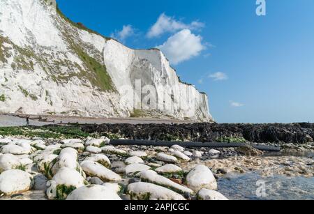 Kreidefelsen von Dover. Stockfoto