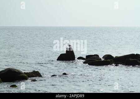 Meer Wellen auf einem Felsen brechen. Tiefblaue Meer Wellen Felsen schlagen, Schlagen, Felsen, Klippen. Mächtige Wellen des Meeres auf einem Felsen brechen, Spritzer über die Felsen. Starke ocea Stockfoto