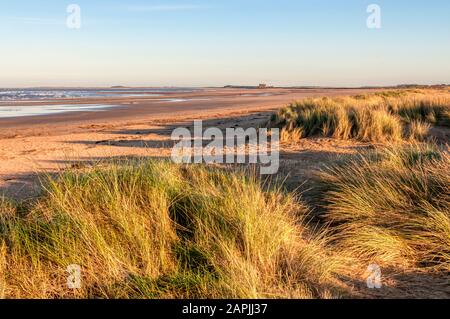 Am späten Nachmittag Sonnenlicht auf dem Brancaster Strand an der Küste von North Norfolk. Stockfoto