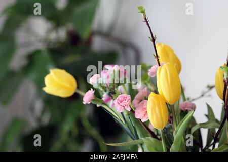 Schöner Blumenstrauß aus leuchtend gelben Tulpen und rosa Dianthusblüten im Nahbereich. Schöner Kontrast von Energie und kräftigen, hellen Farben. Stockfoto