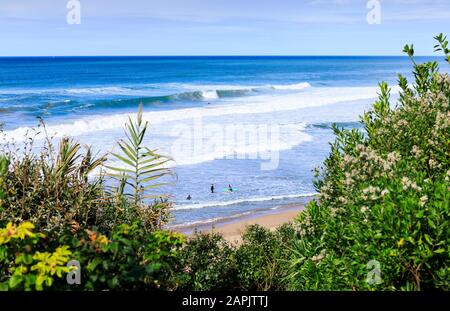 Bidart, Frankreich Stockfoto