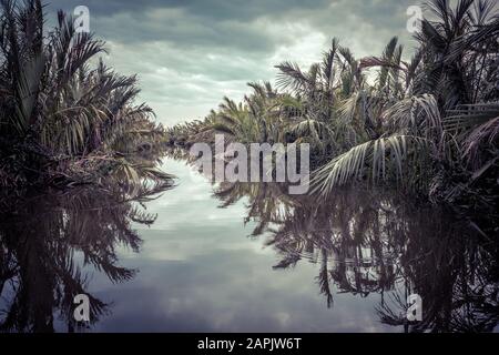 Mysteriöser Fluss in einem Dschungel in der Abenddämmerung in der Nähe von Tangalle, Sri Lanka. Mystische schöne Aussicht auf die Feuchtgebiete im Regenwald. Tropische Lagunenlandschaft im Zwielicht. Stockfoto