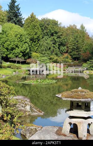 Ein großer Spiegelteich mit einem Tourist, der Fotos und eine Vielzahl von immergrünen, japanischen Maples und Weidenbäumen im Hintergrund in Seattle, Washin, machte Stockfoto