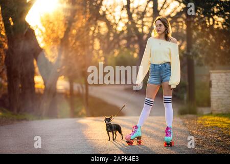 Lustige Portrait eines einzigartigen exzentrischen Tierbesitzers auf Rollschuhen, der einen kleinen chihuahua Welpen Hund auf der Nachbarstraße in bunten Kniestrümpfen spazieren geht Stockfoto