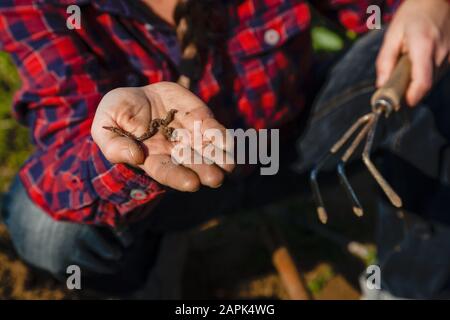 Junge Frau, die an sonnigen Frühlingstag urbane Gartenarbeit macht Stockfoto