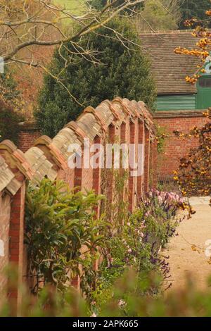 Blick auf eine steile, gemauerte Gartenmauer mit gestuftem Oberteil und Pflanzen, die im Herbst gegen sie ausgebildet werden Stockfoto