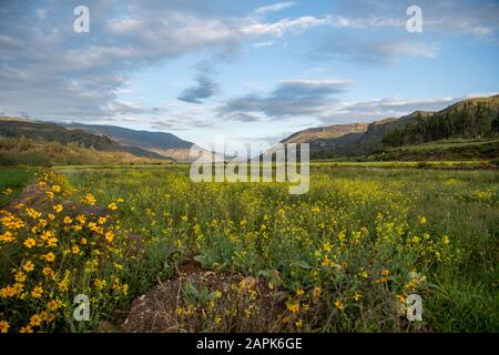 Colca Canyon Stockfoto