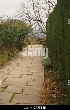 Ein Blick auf einen Steingarten-Pfad zu einem Baum, der seine Blätter neben einer immergrünen Hecke verloren hat, mit Blick auf den Horizont darüber hinaus Stockfoto