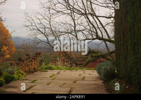 Ein Blick auf einen Steingarten-Pfad zu einem Baum, der seine Blätter neben einer immergrünen Hecke verloren hat, mit Blick auf den Horizont darüber hinaus Stockfoto