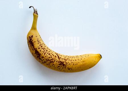 Einzelne überreife Banane isoliert auf weiß Stockfoto