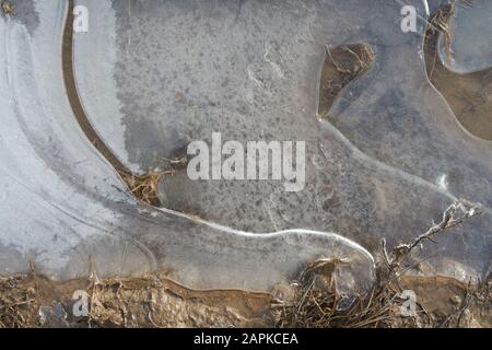 Dünnes transparentes Eis auf der Oberfläche der Pfütze Stockfoto