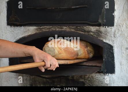 Frisch gebackenes Brot aus einem alten, aus Holz gefeuerten Ofen Stockfoto