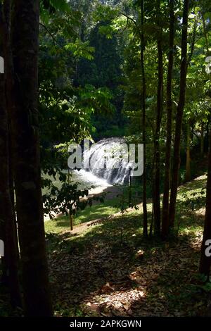 Blick auf die Malanda-Wasserfälle durch Bäume Stockfoto