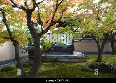 Kyoto, Japan. Nov. 2018. Der Daitoko-JI-Tempel in Kyoto, Japan, Donnerstag, 22. November 2018, stammt aus dem Jahr 1326. Credit: Mark Hertzberg/ZUMA Wire/Alamy Live News Stockfoto