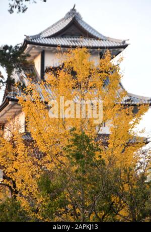 Kanazawa, Japan. Nov. 2018. Das historische Schloss von Kanazawa in Kanazawa, Japan, Mittwoch, 21. November 2018. Das Schloss wurde so wiederhergestellt, wie es in den 1850er Jahren der Fall war. Credit: Mark Hertzberg/ZUMA Wire/Alamy Live News Stockfoto