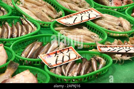 Kanazawa, Japan. Nov. 2018. Fisch steht am Mittwoch, 21. November 2018, auf dem Omicho-Hallenmarkt in Kanazawa, Japan zum Verkauf. Credit: Mark Hertzberg/ZUMA Wire/Alamy Live News Stockfoto