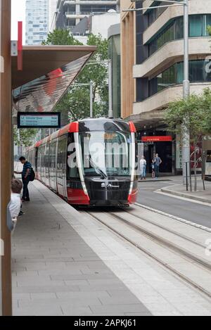 Dez. 2019:Eine der neuen Stadtbahnen von Sydney in der George Street Sydney, Australien. Die Straßenbahn verkehrt zwischen den Vororten Randwick und Circular Quay Stockfoto