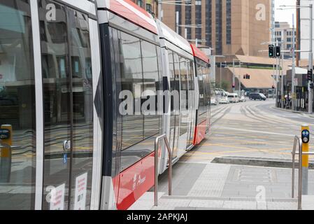 Dez. 2019:Eine der neuen Stadtbahnen von Sydney in der George Street Sydney, Australien. Die Straßenbahn verkehrt zwischen den Vororten Randwick und Circular Quay Stockfoto