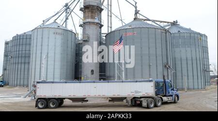 Union Grove, Wisconsin, USA. Februar 2016. Die Landwirte werden mitten in der Tarifpolitik der Trump Administration mit China gefangen. Sojabohnen werden am Montag, den 8. Februar 2016, im Kornelevator DeLong Co. In der Nähe von Union Grove, Wisconsin in Lastwagen verladen. Credit: Mark Hertzberg/ZUMA Wire/Alamy Live News Stockfoto