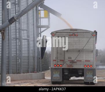 Union Grove, Wisconsin, USA. Februar 2016. Die Landwirte werden mitten in der Tarifpolitik der Trump Administration mit China gefangen. Alvaro SOTO lädt am Montag, 8. Februar 2016, Sojabohnen in seinen LKW im Kornelevator DeLong Co. In der Nähe von Union Grove, Wisconsin. Credit: Mark Hertzberg/ZUMA Wire/Alamy Live News Stockfoto