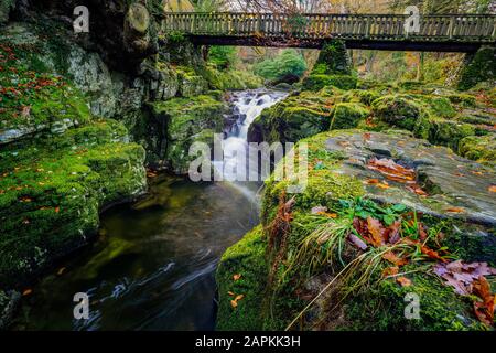 Kaskaden unter Holzbrücke am Bergbach, mit moosigen Felsen im Tollymore Forest Park im Herbst, Newcastle, County Down, Nordirland Stockfoto