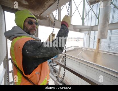 Union Grove, Wisconsin, USA. Februar 2016. Die Landwirte werden mitten in der Tarifpolitik der Trump Administration mit China gefangen. Tom LUI lädt Sojabohnen am Montag, den 8. Februar 2016, in einen LKW im Kornelevator DeLong Co. In der Nähe von Union Grove, Wisconsin. Das Getreide sollte nach Channahon, Illinois, gebracht werden. Credit: Mark Hertzberg/ZUMA Wire/Alamy Live News Stockfoto