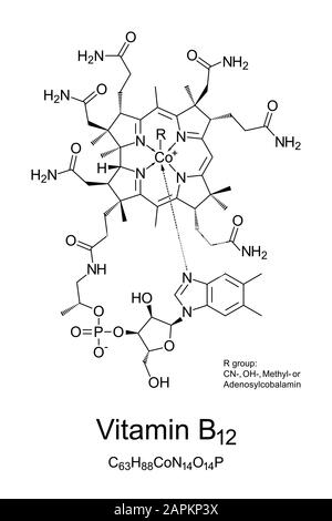 Vitamin B12, Kobalamin, chemische Struktur. Am Stoffwechsel jeder Zelle des menschlichen Körpers beteiligt. Stockfoto