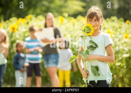 Kleines Mädchen, das Sonnenblume, Lehrer und Freunde im Hintergrund hält Stockfoto