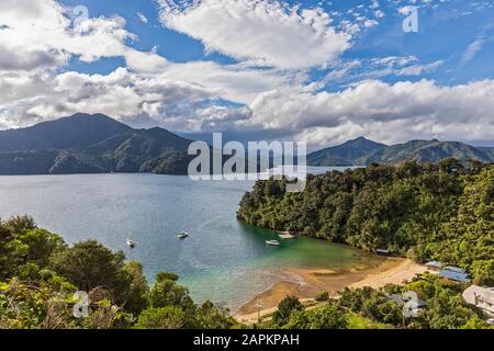 Neuseeland, Marlborough Region, Blick auf Queen Charlotte Drive auf Grove Arm Stockfoto