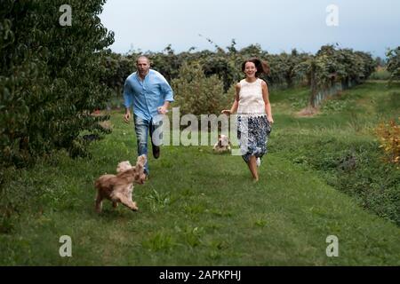 Paare, die mit ihren Hunden im Netz laufen Stockfoto