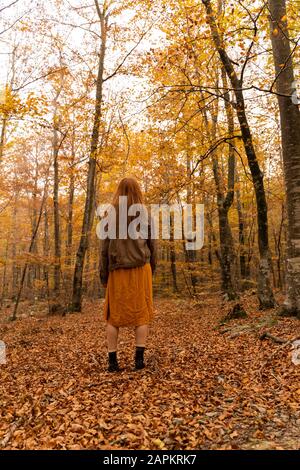 Rückblick auf die rotköpfige junge Frau, die im Herbstwald steht Stockfoto