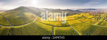 Deutschland, Baden-Württemberg, Stuttgart, Luftpanorama der weiten Landschaft Weinberge bei Herbstuntergang Stockfoto