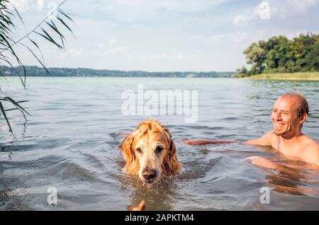 Junger Mann, der mit seinem Golden Retriever in einem See spielt Stockfoto