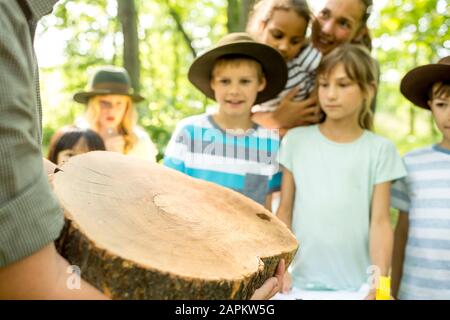 Schulkinder untersuchen Jahresringe eines Baumstammes Stockfoto