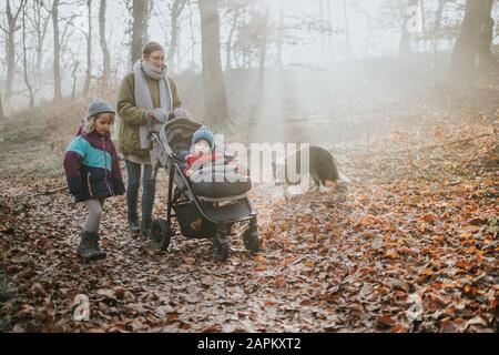 Mutter mit Kindern und Grenzkollie bei Waldspaziergang im Herbst Stockfoto