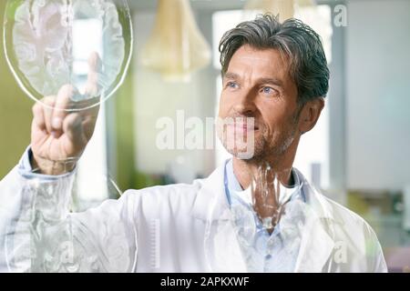 Arzt mit futuristischem Touchscreen und Katzenscan Stockfoto
