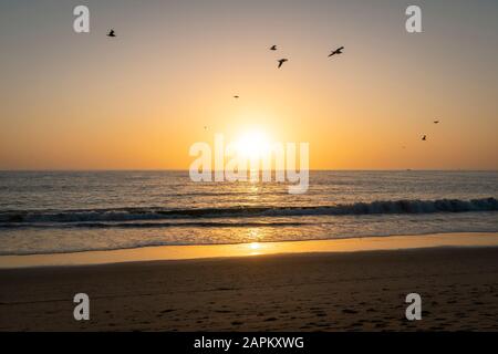 USA, Kalifornien, Los Angeles, Vogelschar, die bei Sonnenuntergang über dem Küstenstrand des Pazifischen Ozeans fliegen Stockfoto