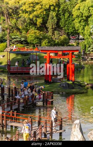 Schöner Blick auf das rote Tor und die Brücke über den See im japanischen Park Gardens in Palermo, Buenos Aires, Argentinien Stockfoto